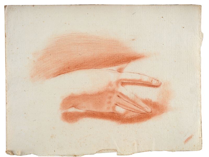 Lotto composto da quattro disegni di studi anatomici