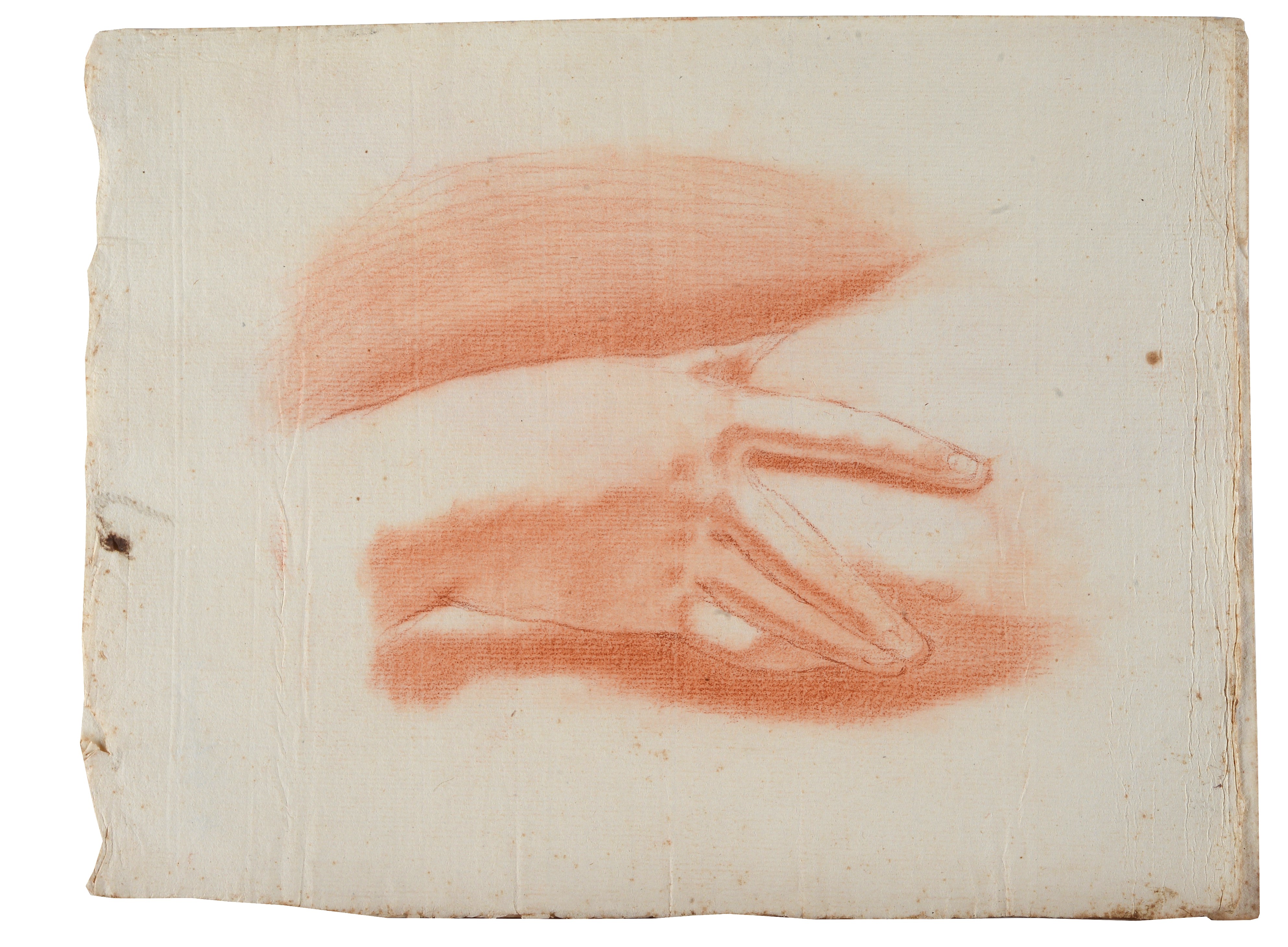 Lotto composto da quattro disegni di studi anatomici