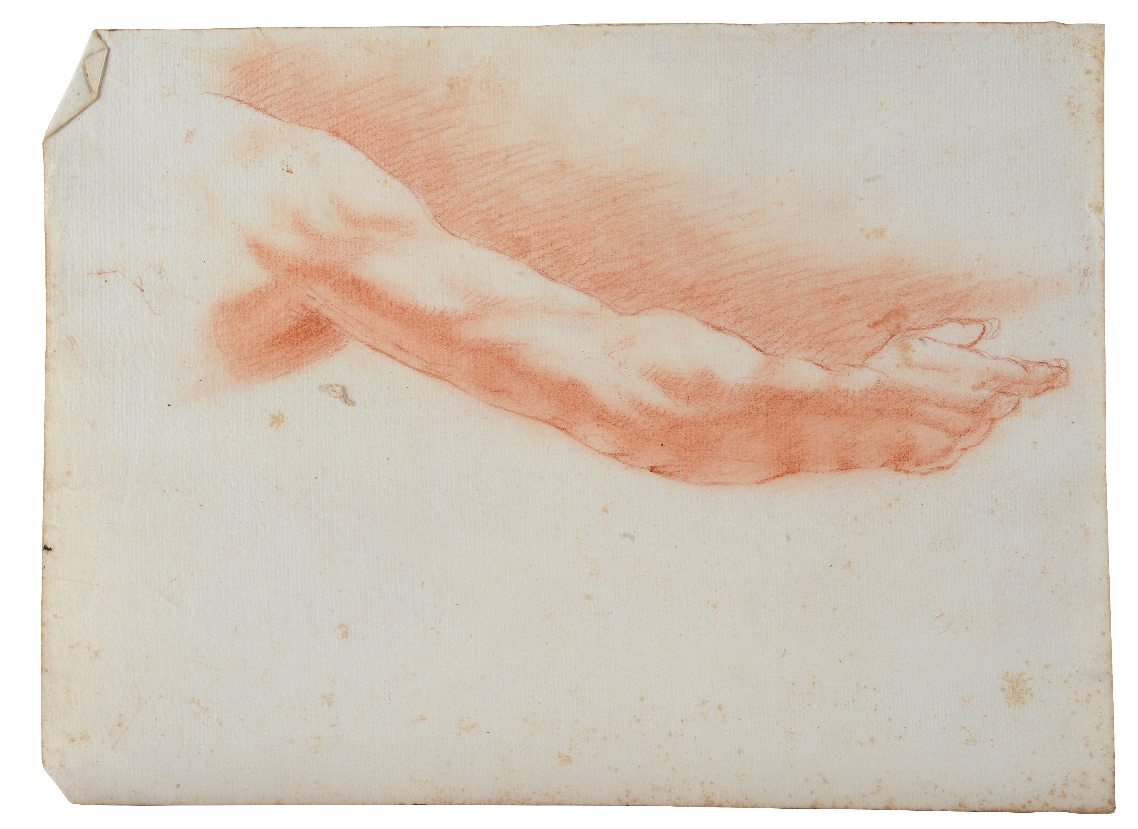 Lotto composto da quattro disegni di studi anatomici