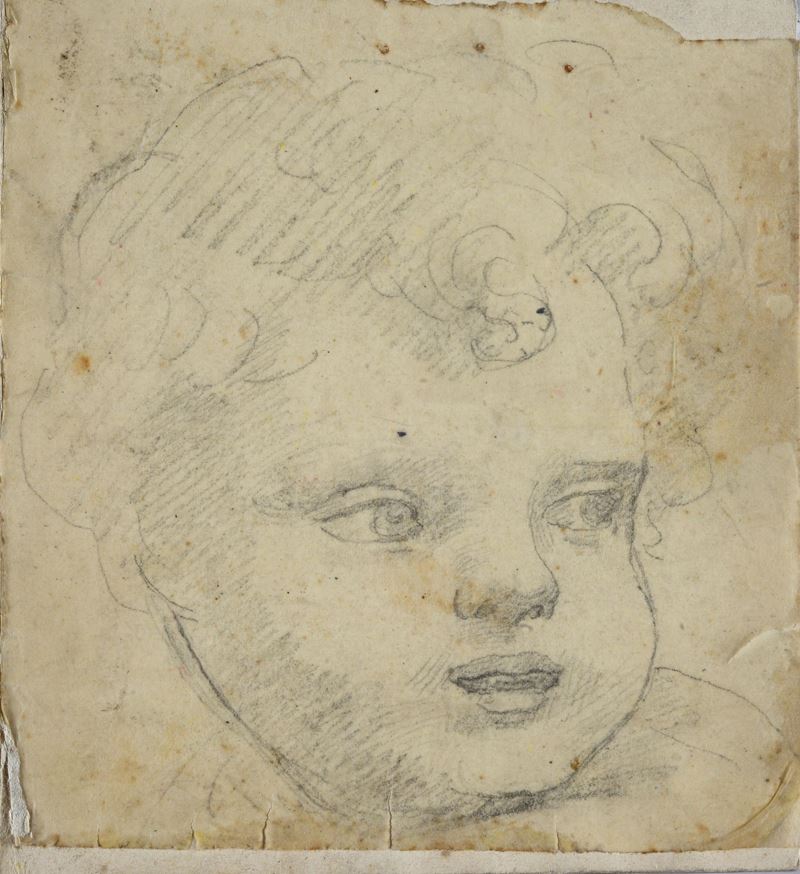 Testa di putto