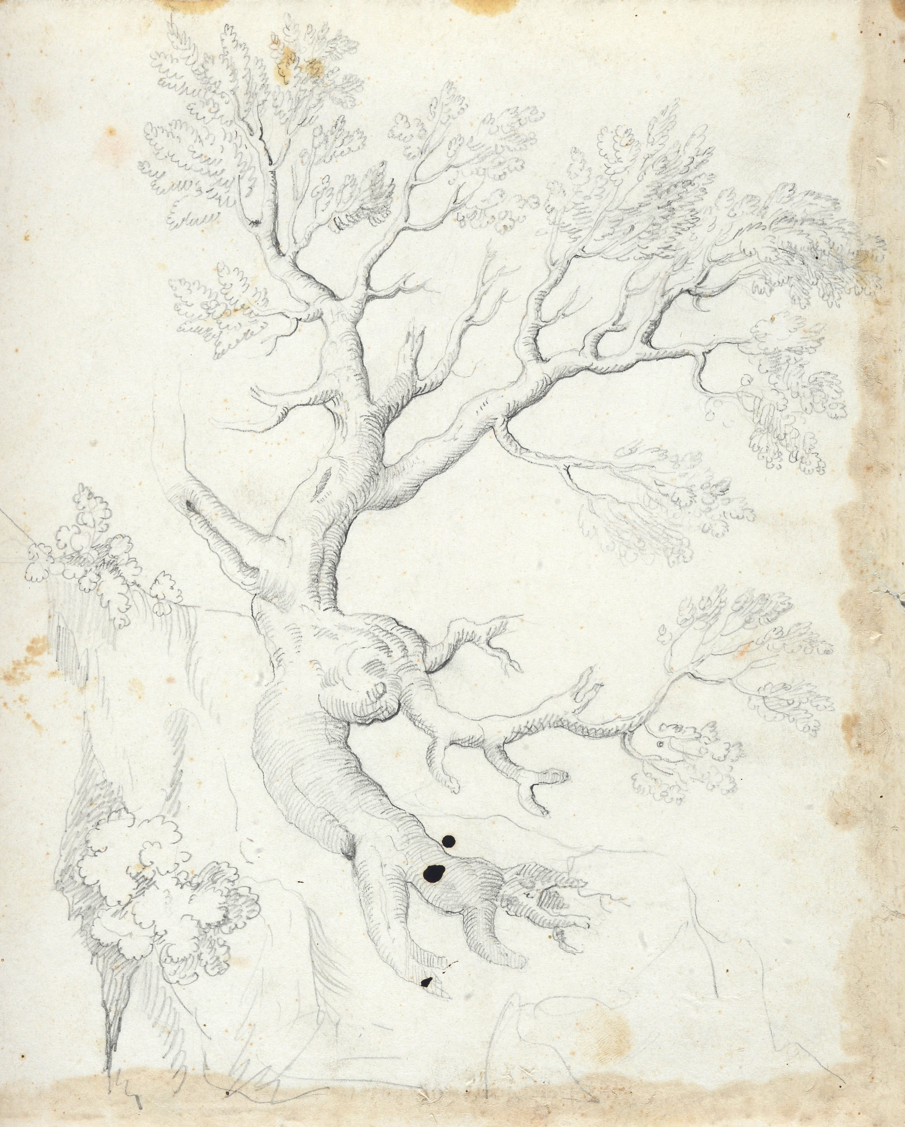 Lotto composto da quattro disegni con paesaggi e studio di albero