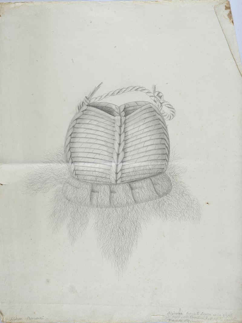 Lotto composto da studi decorativi e di figura