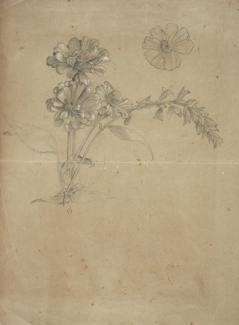 Lotto composto da quattro disegni con studi per elementi architettonici, un fiore, e una cripta