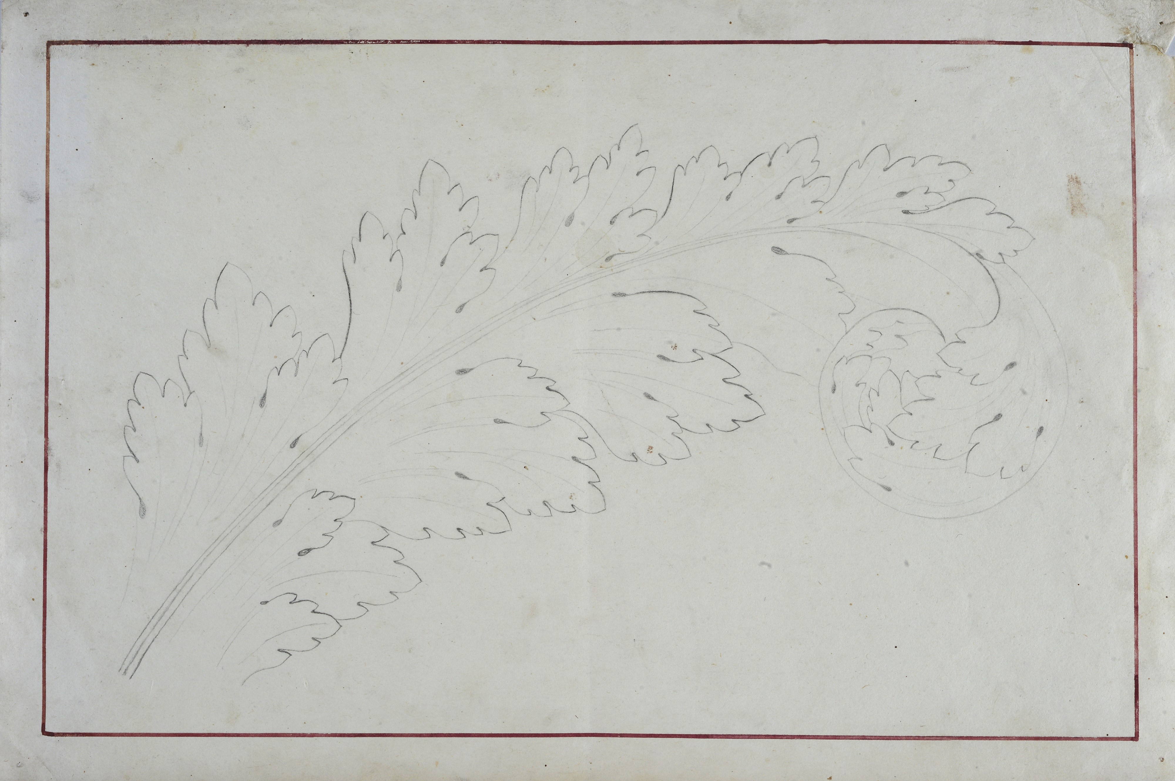 Lotto composto da quattro disegni con studi per elementi architettonici, un fiore, e una cripta