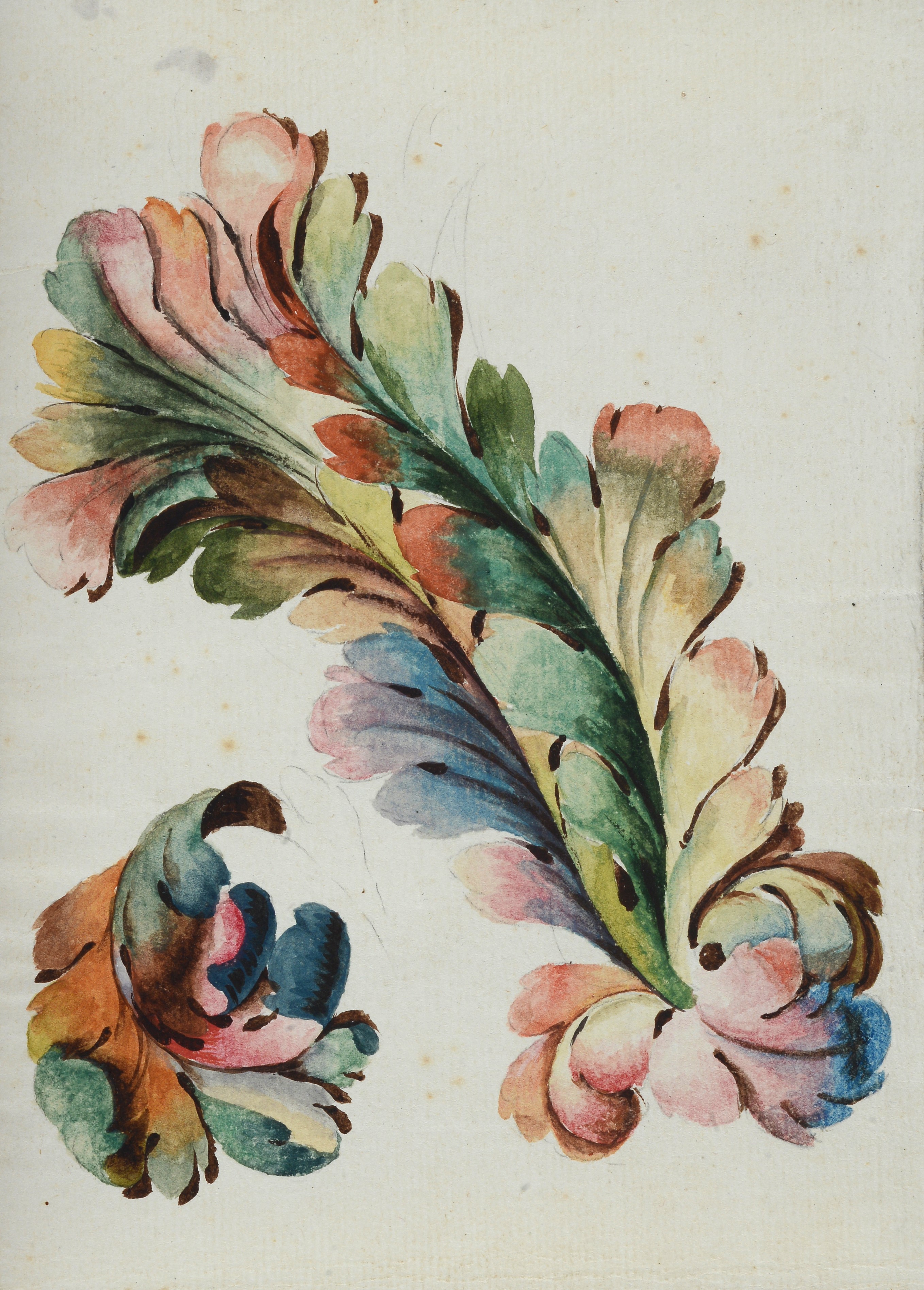 Lotto composto da quattro studi di fiori