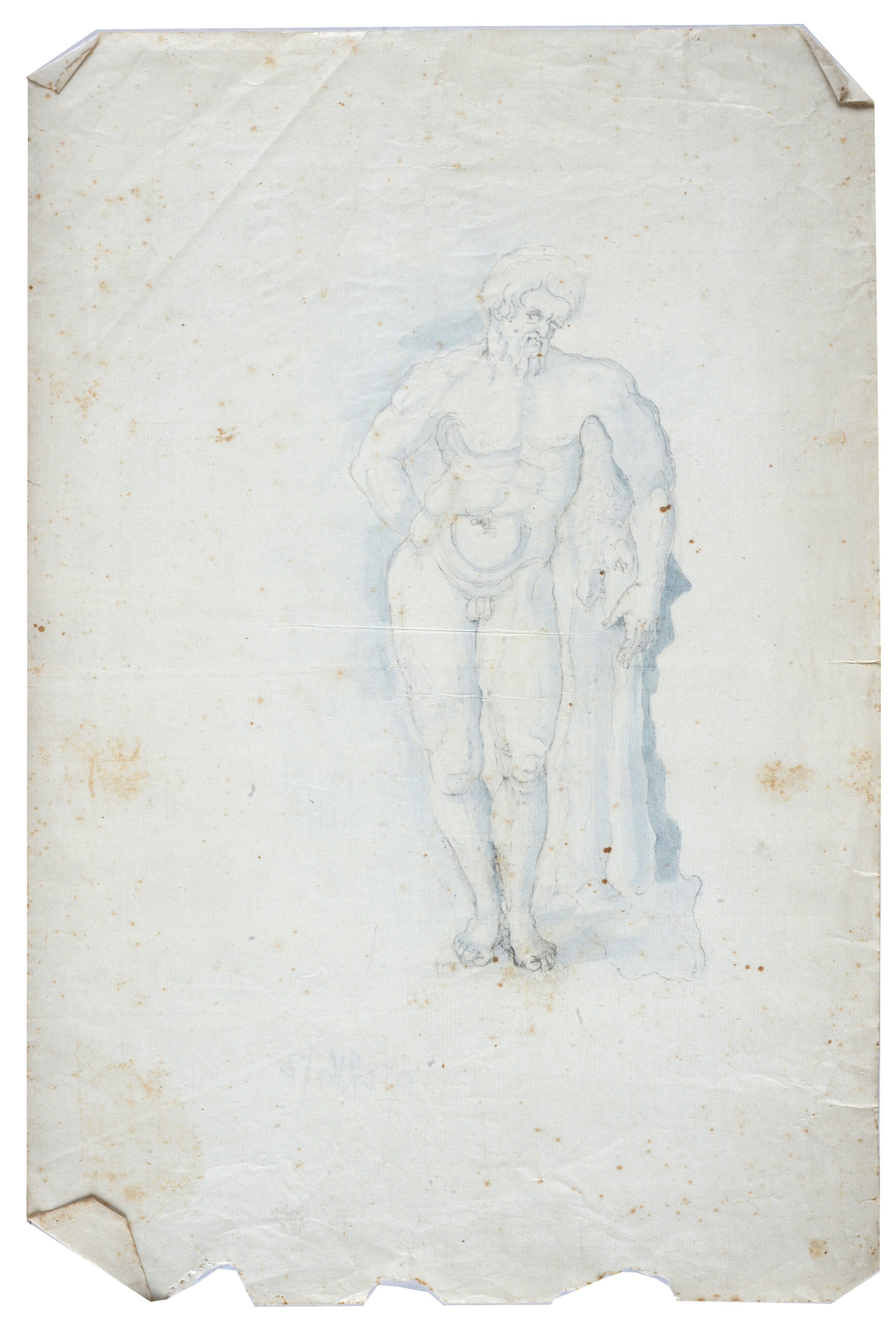 Due studi per l'Ercole Farnese