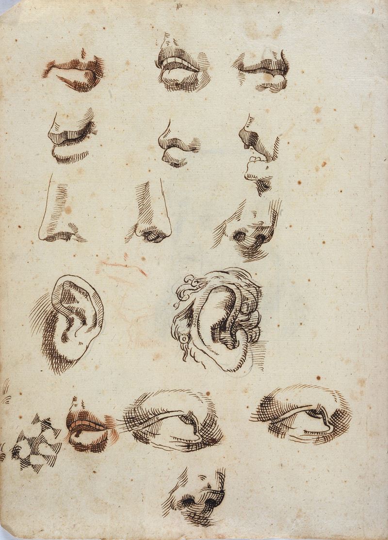 Studi anatomici e di figura
