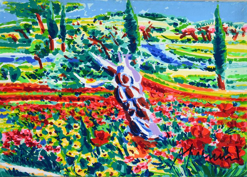 Luce, sole alto e colori intorno ad un olivo