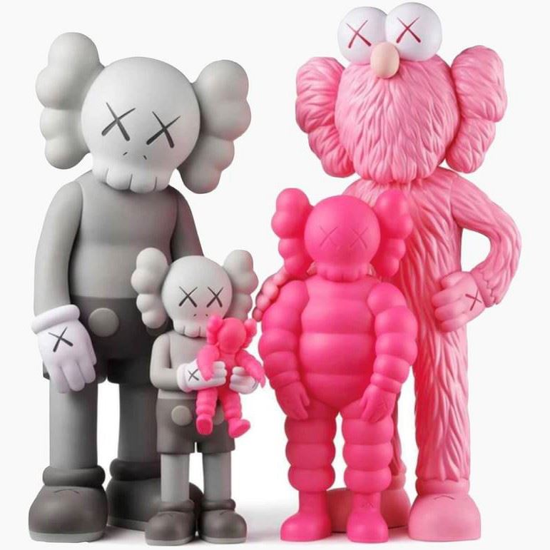 Kaws Family GREY/PINK