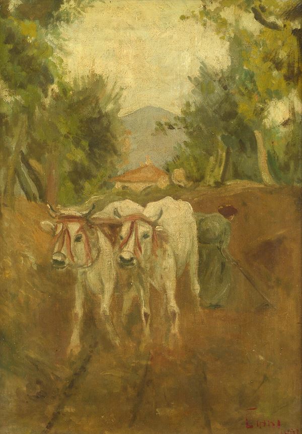 Cesare Ciani - Buoi