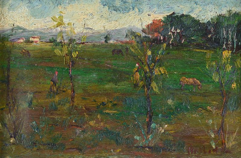 Campagna con alberelli