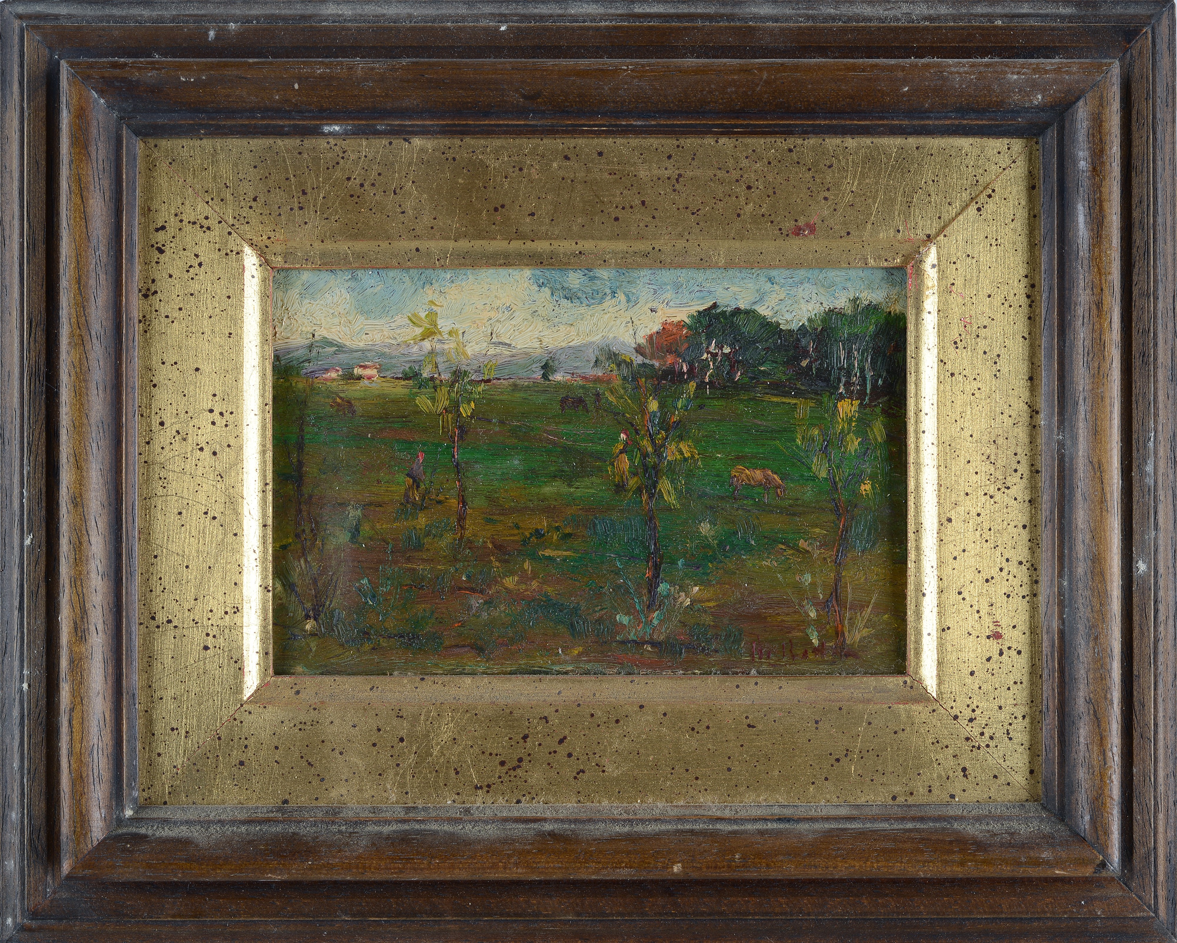 Campagna con alberelli