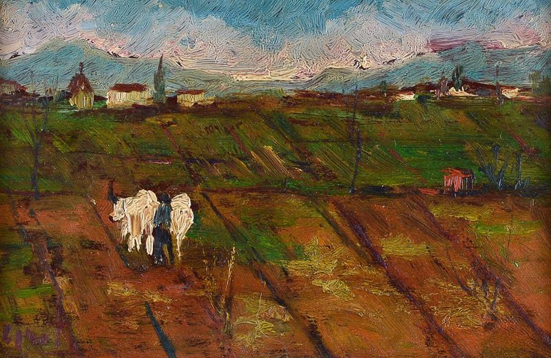 Campo con buoi