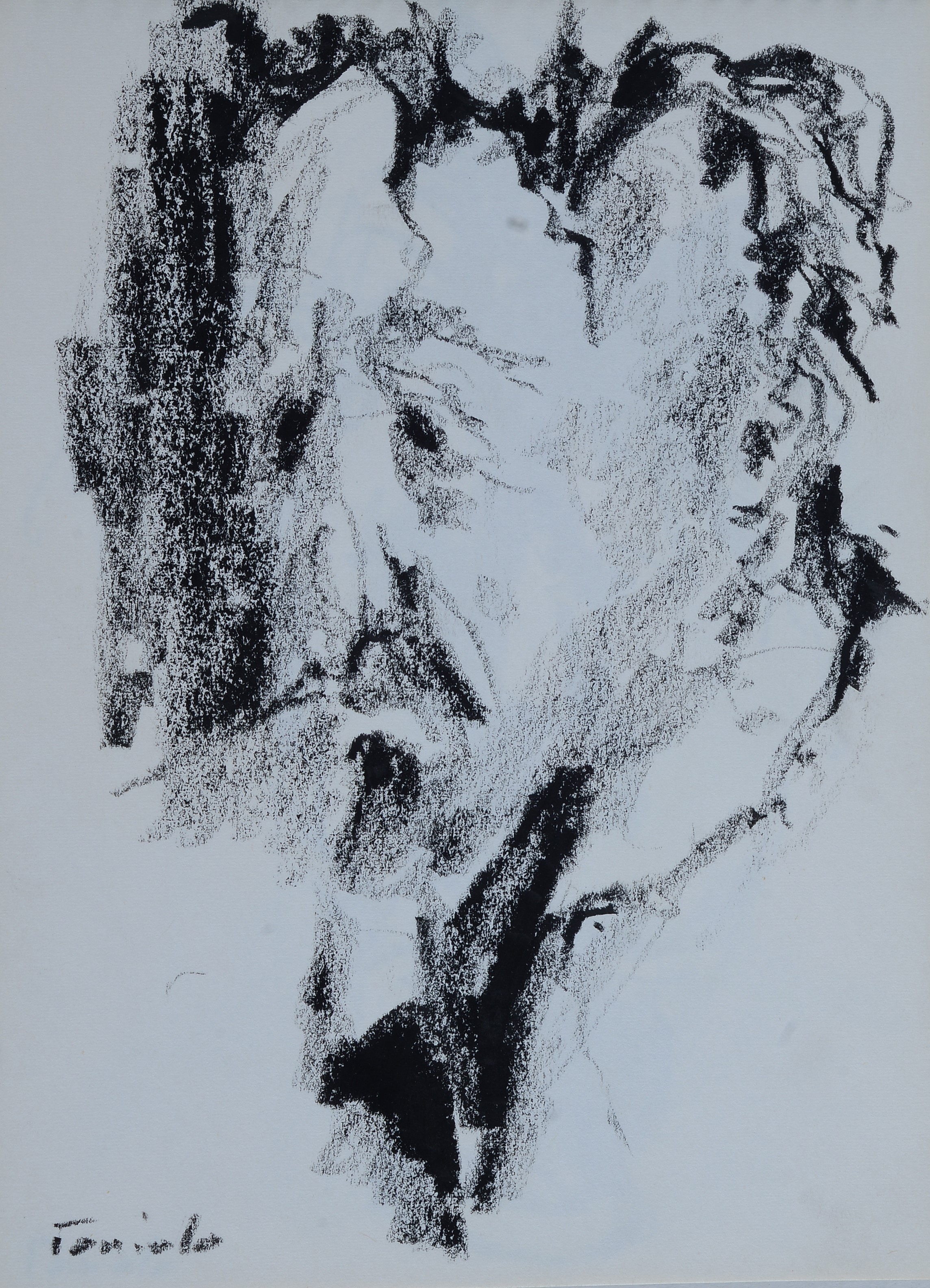 Ennio Toniolo - Cahier d’artiste - 19 disegni a carboncino