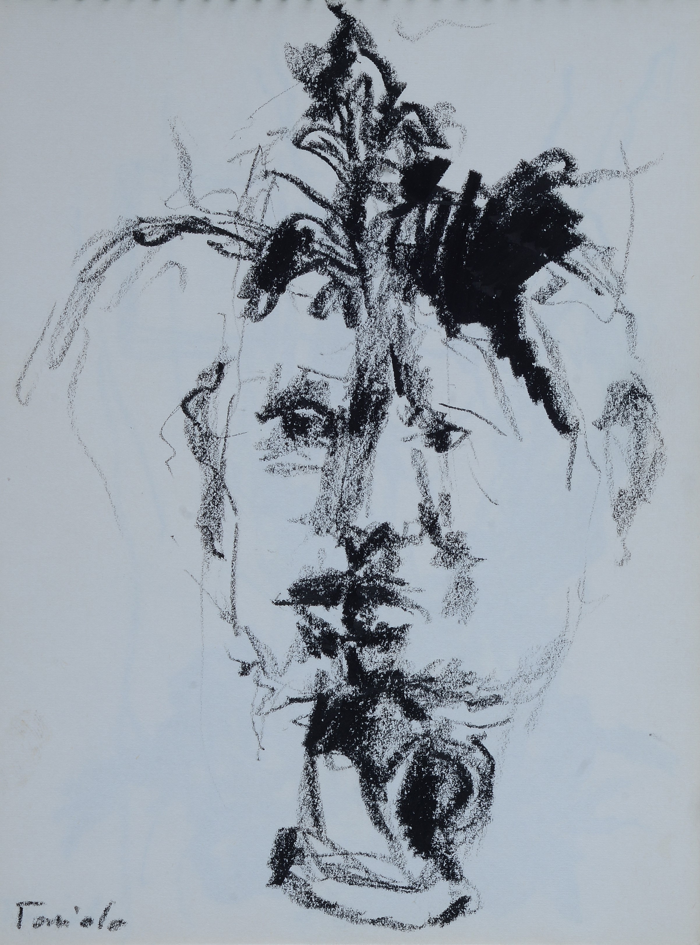 Ennio Toniolo - Cahier d’artiste - 19 disegni a carboncino