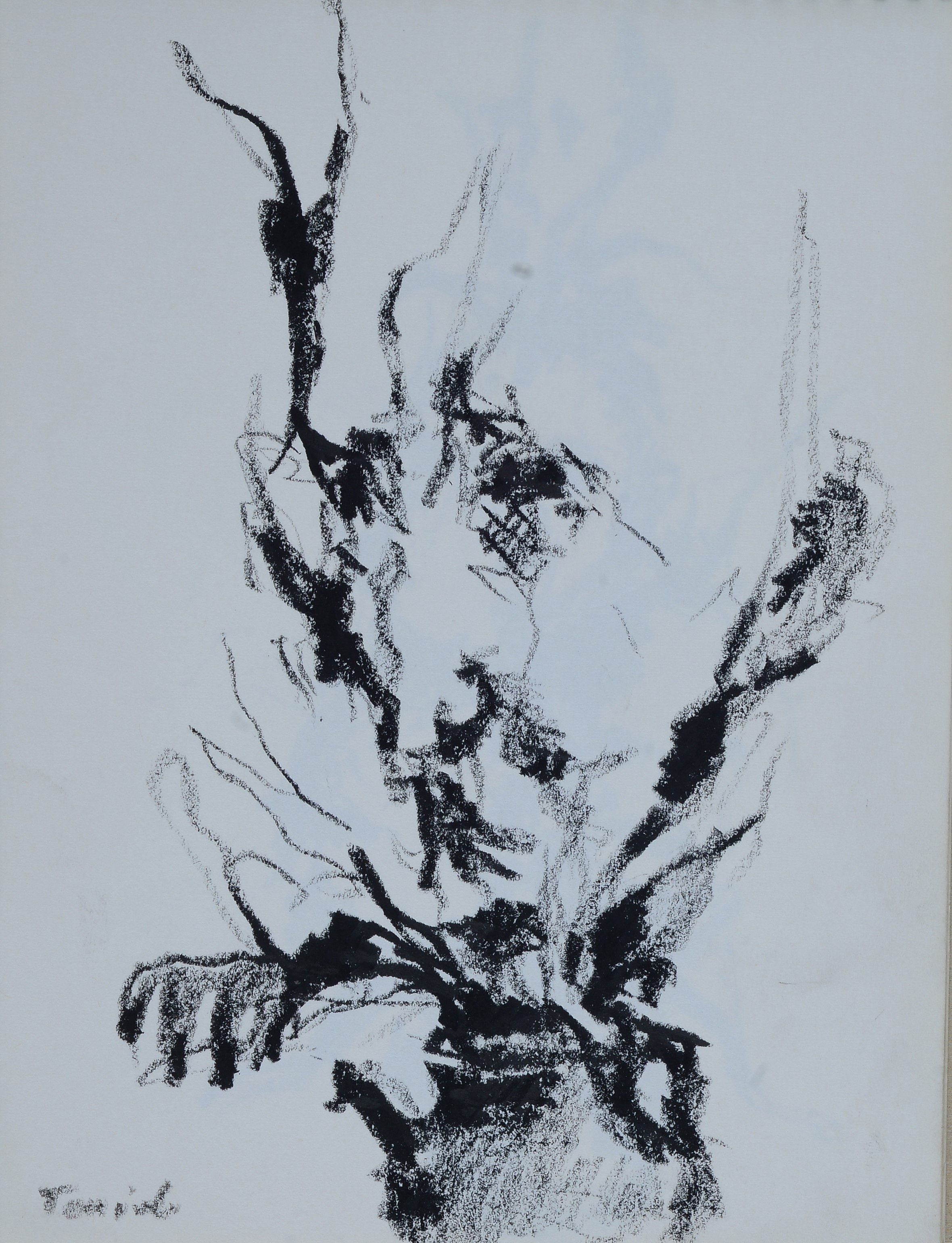 Ennio Toniolo - Cahier d’artiste - 19 disegni a carboncino