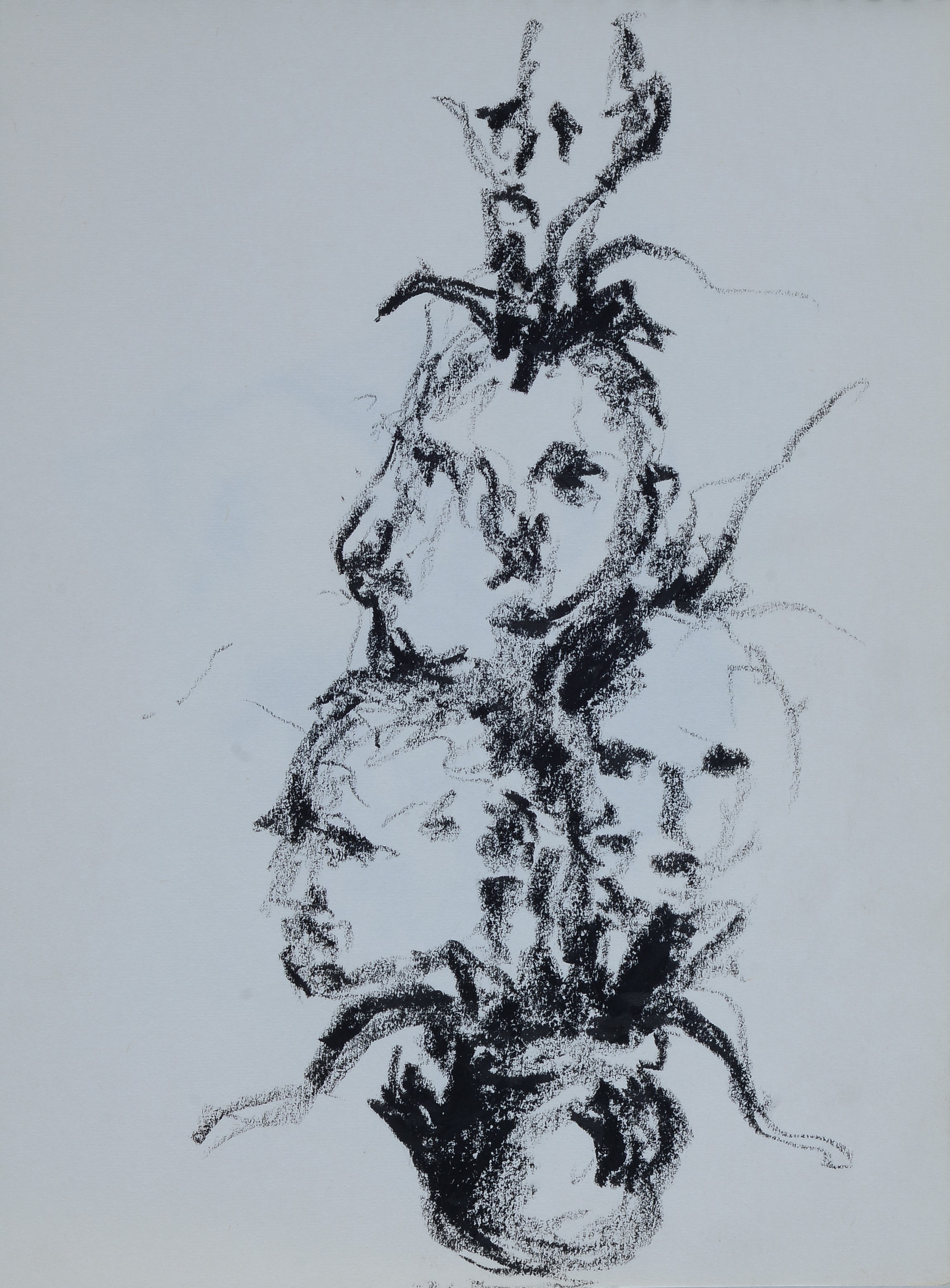 Ennio Toniolo - Cahier d’artiste - 19 disegni a carboncino