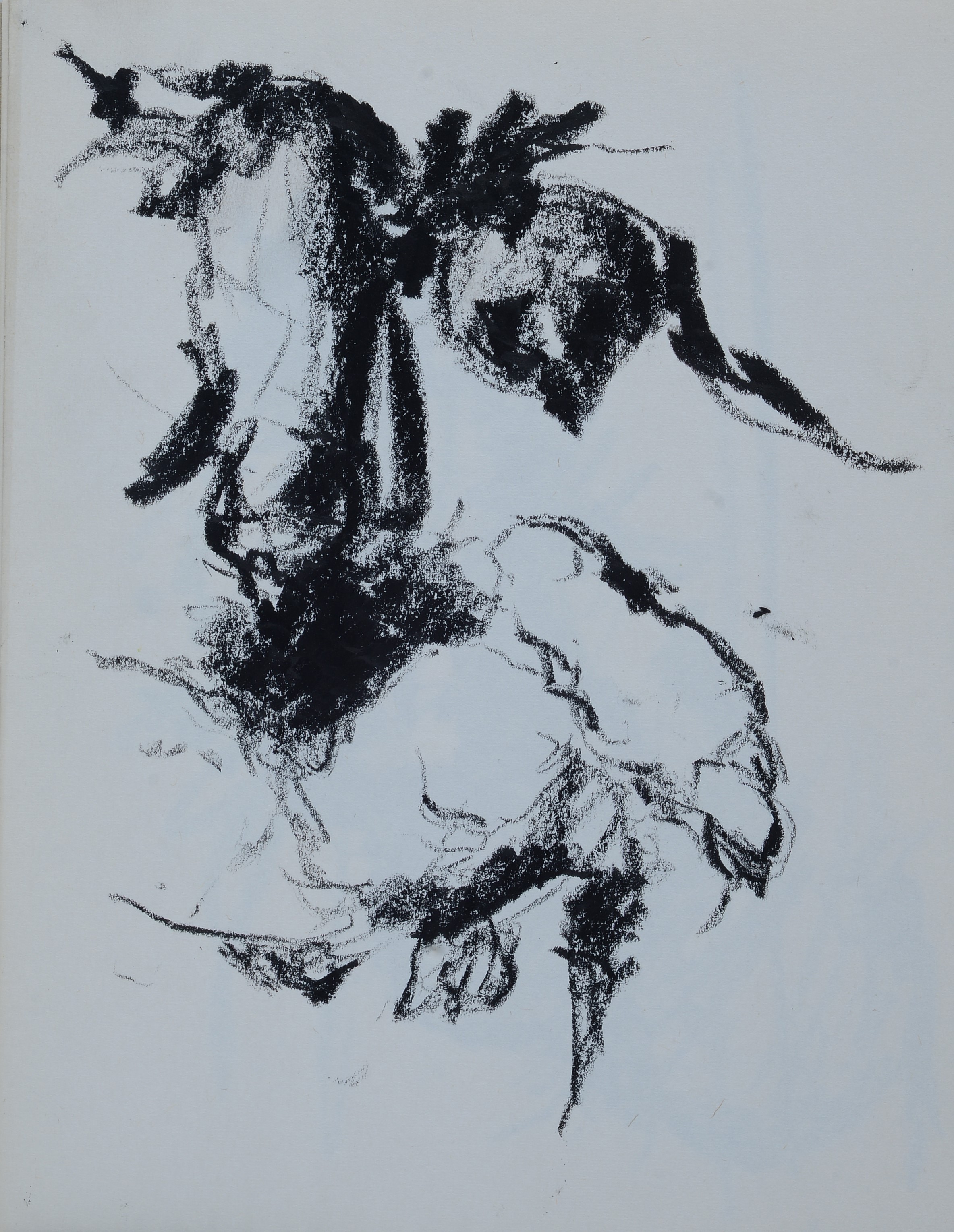 Ennio Toniolo - Cahier d’artiste - 19 disegni a carboncino