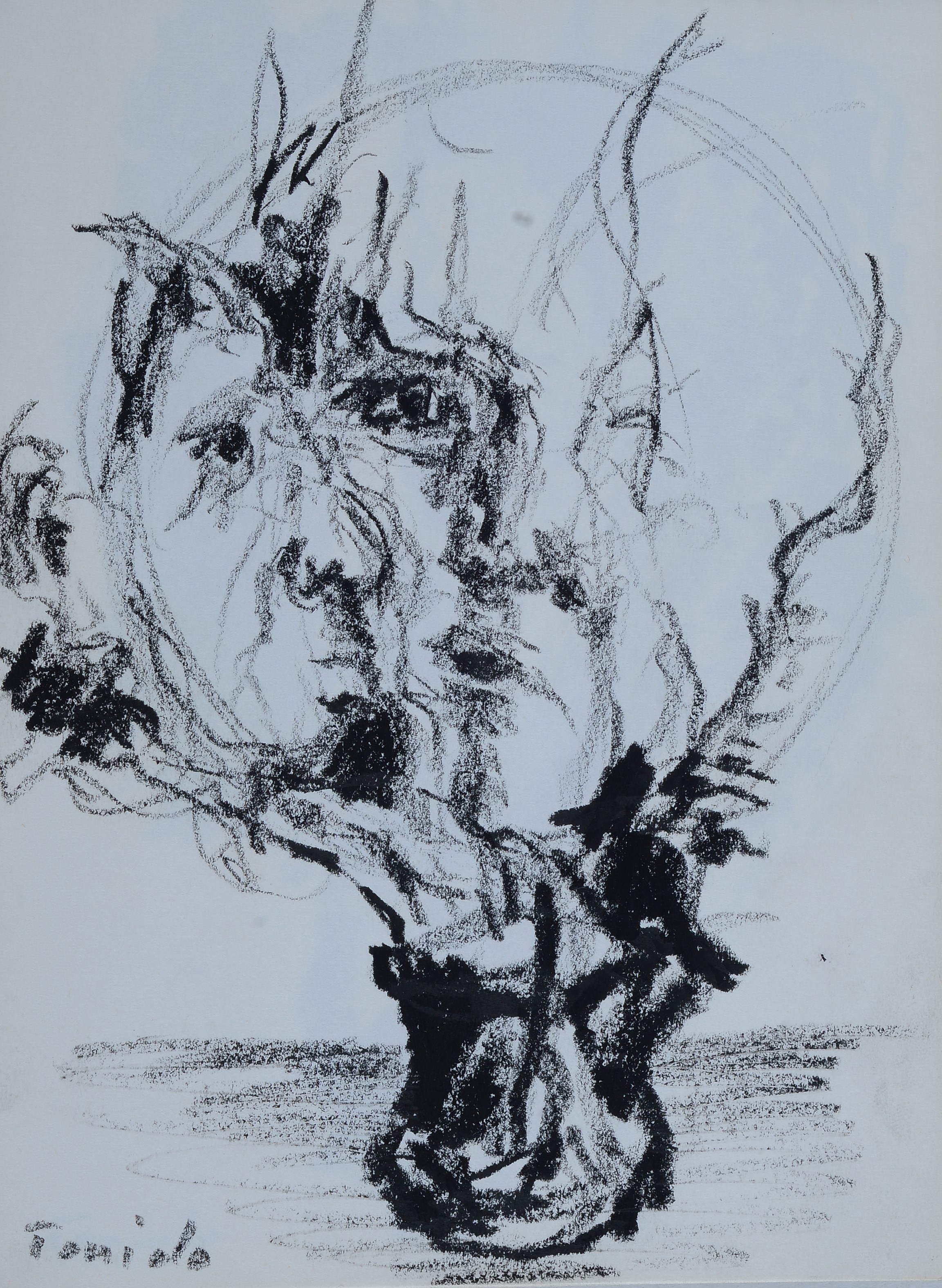 Ennio Toniolo - Cahier d’artiste - 19 disegni a carboncino