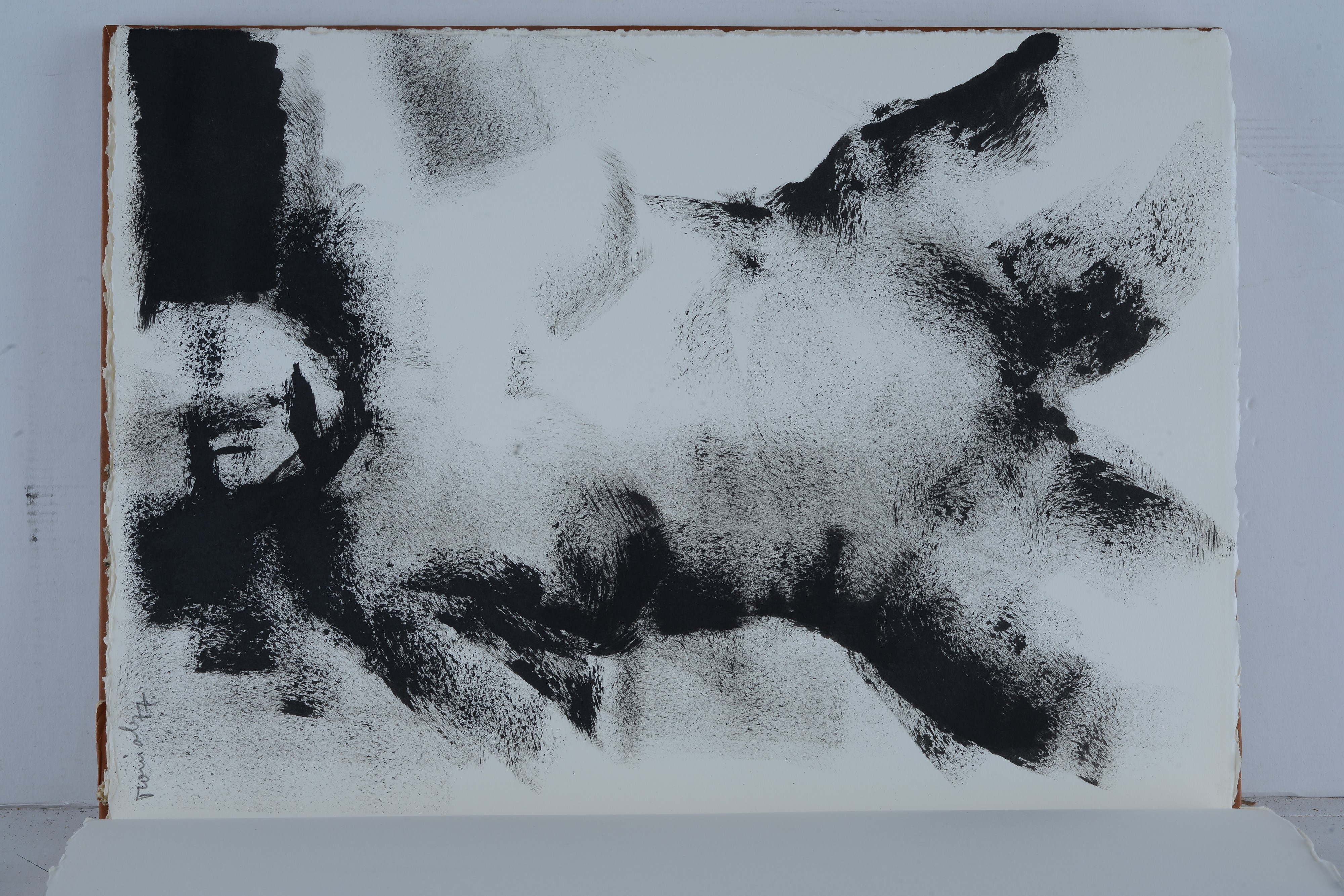 Ennio Toniolo - Cahier d’artiste, 1977