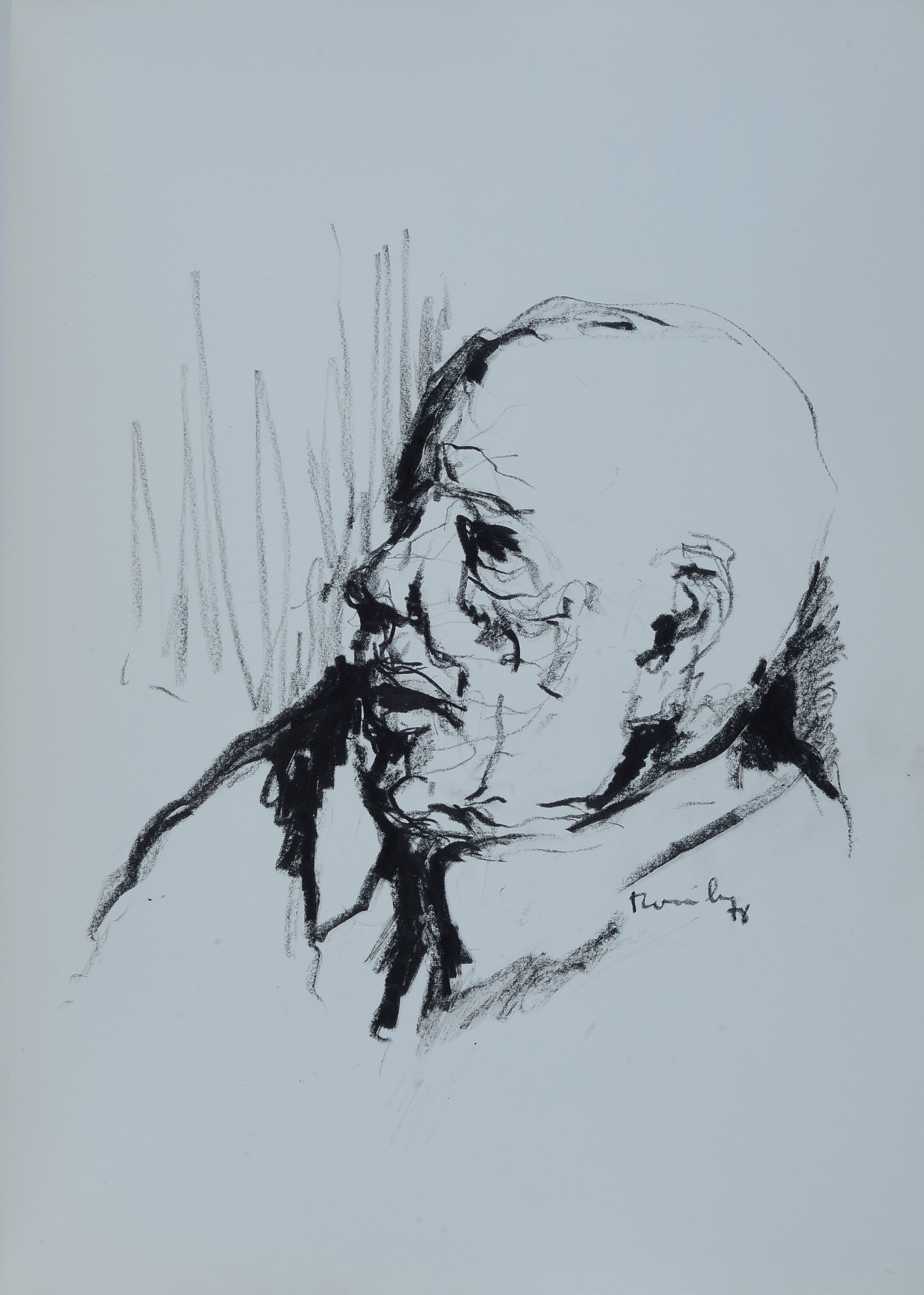 Ennio Toniolo - Cahier d’artiste