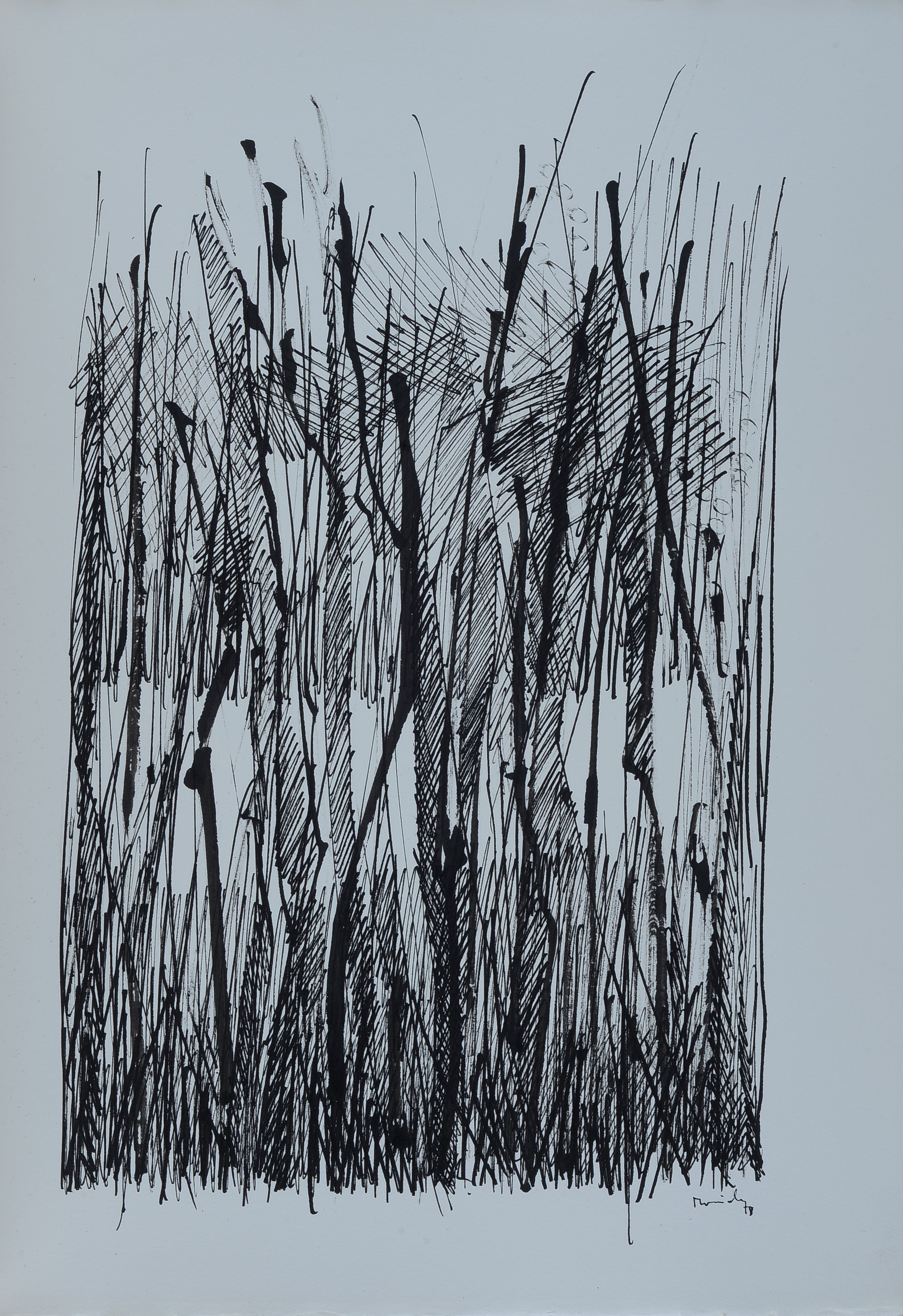 Ennio Toniolo - Cahier d’artiste