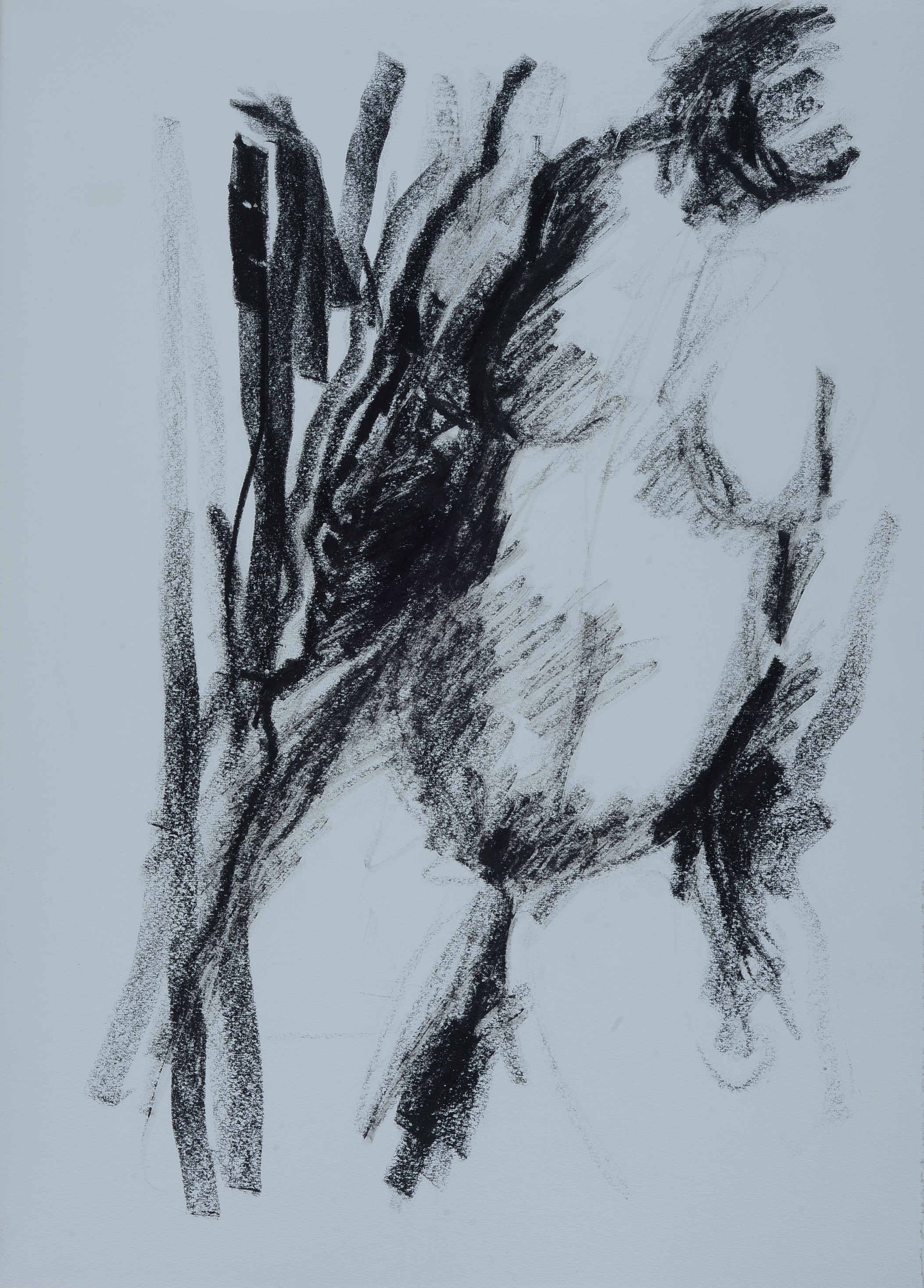 Ennio Toniolo - Cahier d’artiste