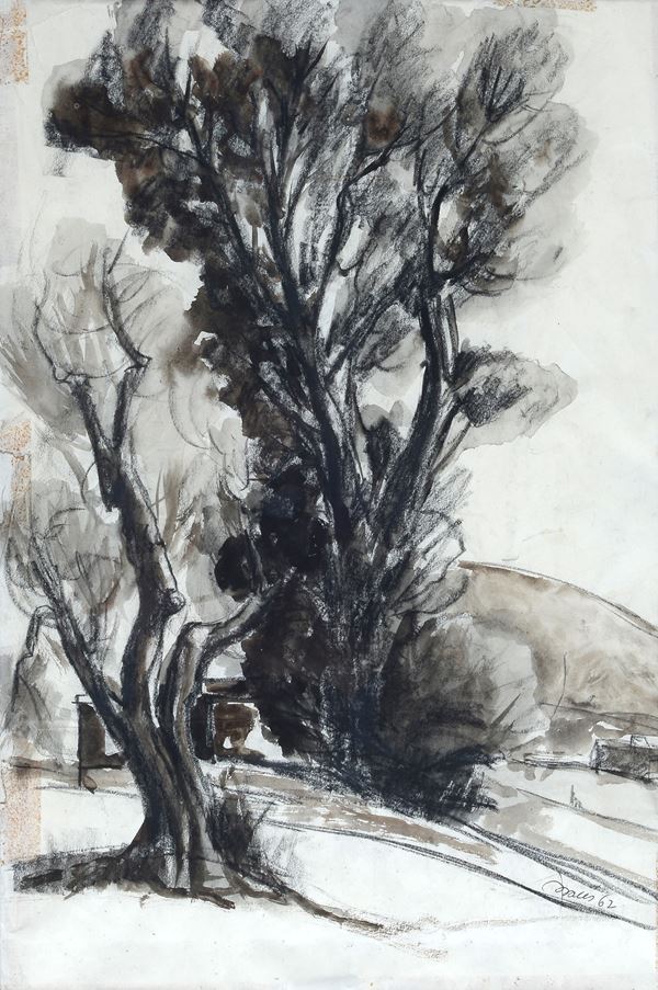 Anonimo, XX sec. - Alberi