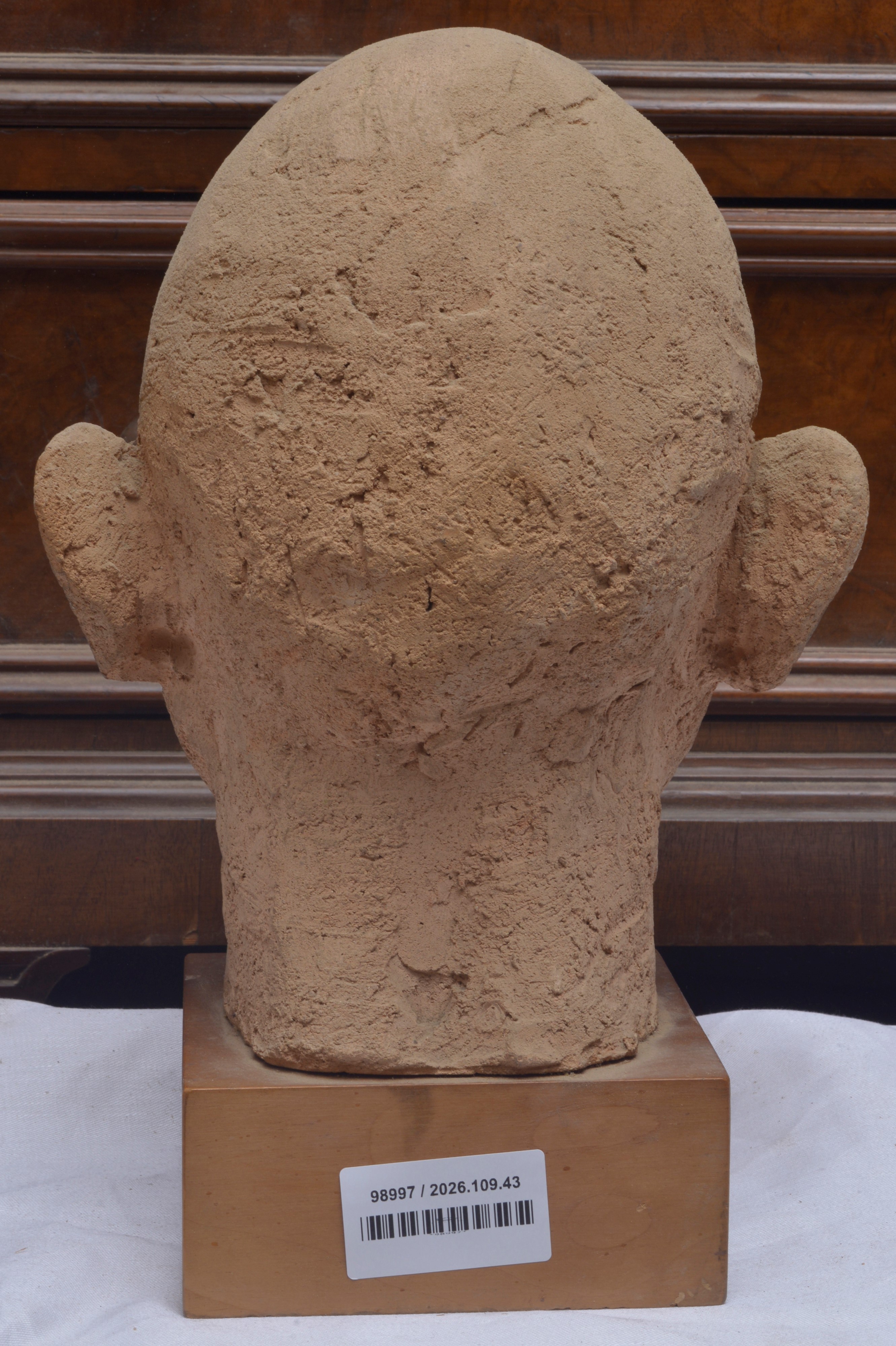 Girolamo Bonomi - Testa in terracotta