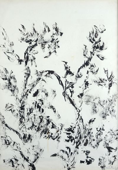 Vegetazione, inchiostro su carta
