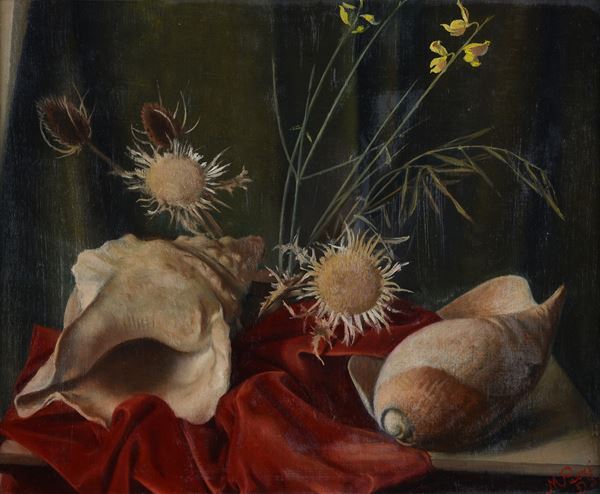 Anonimo, XX sec. - Natura morta con conchiglie