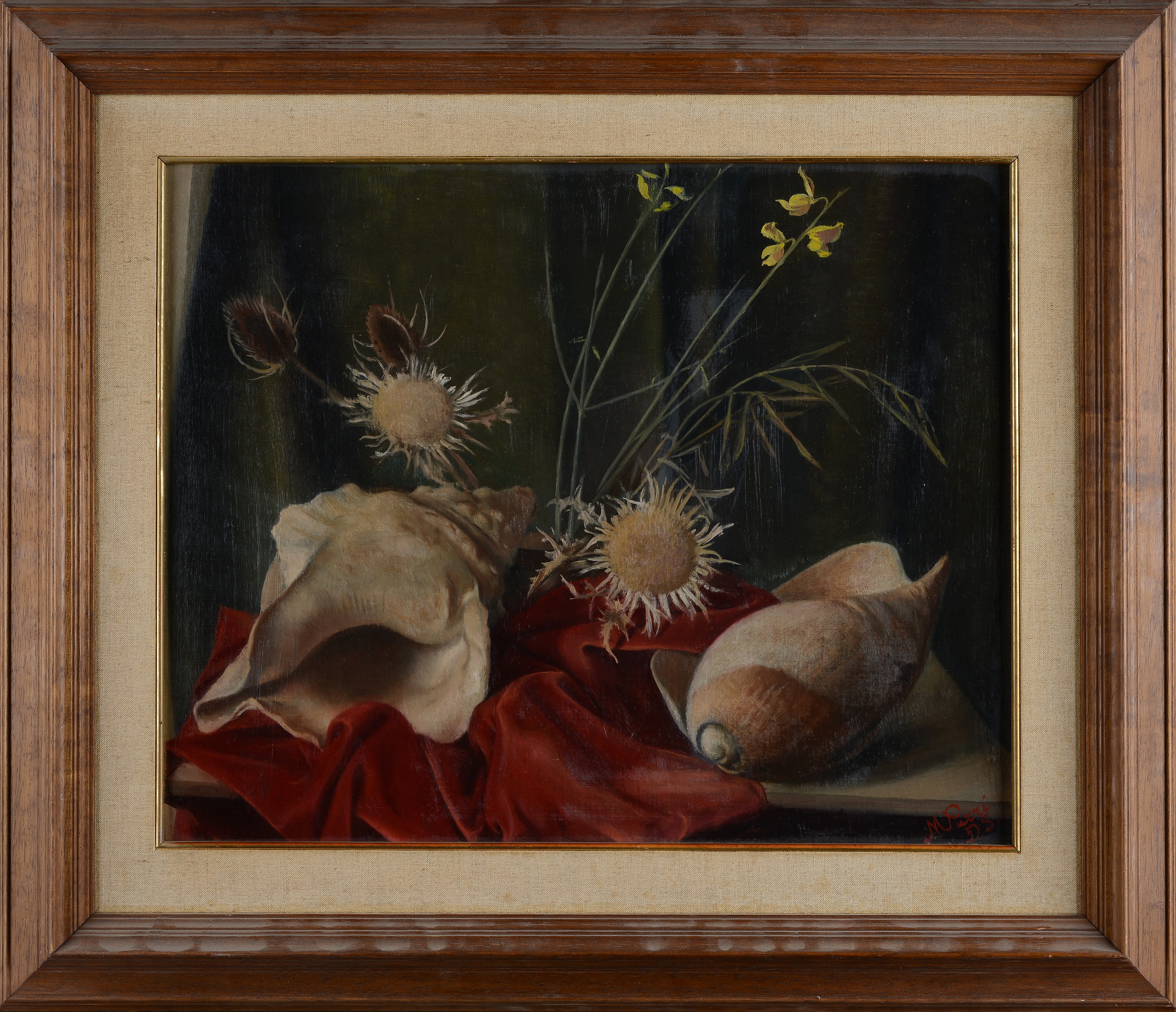 Natura morta con conchiglie