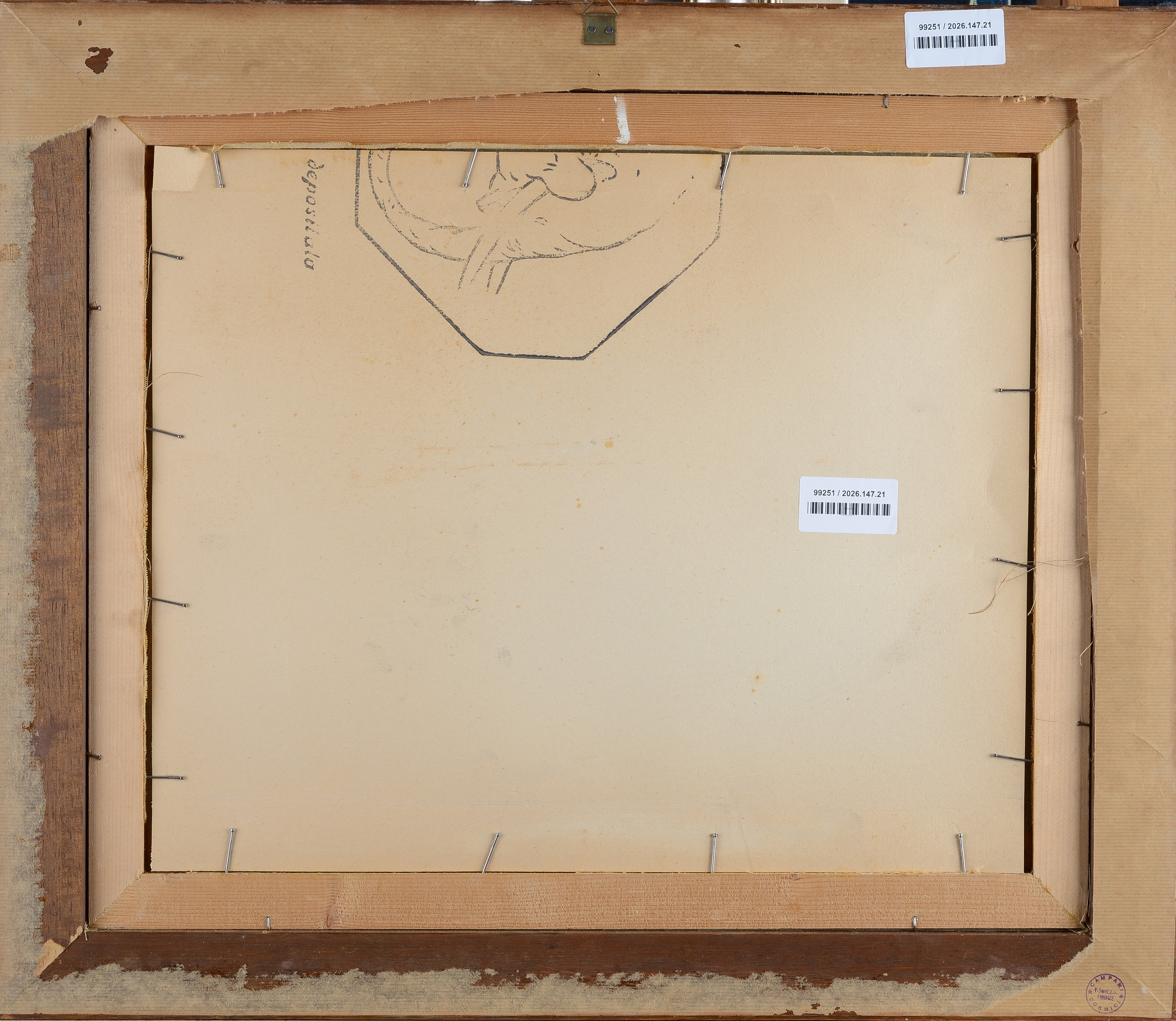 Natura morta con conchiglie