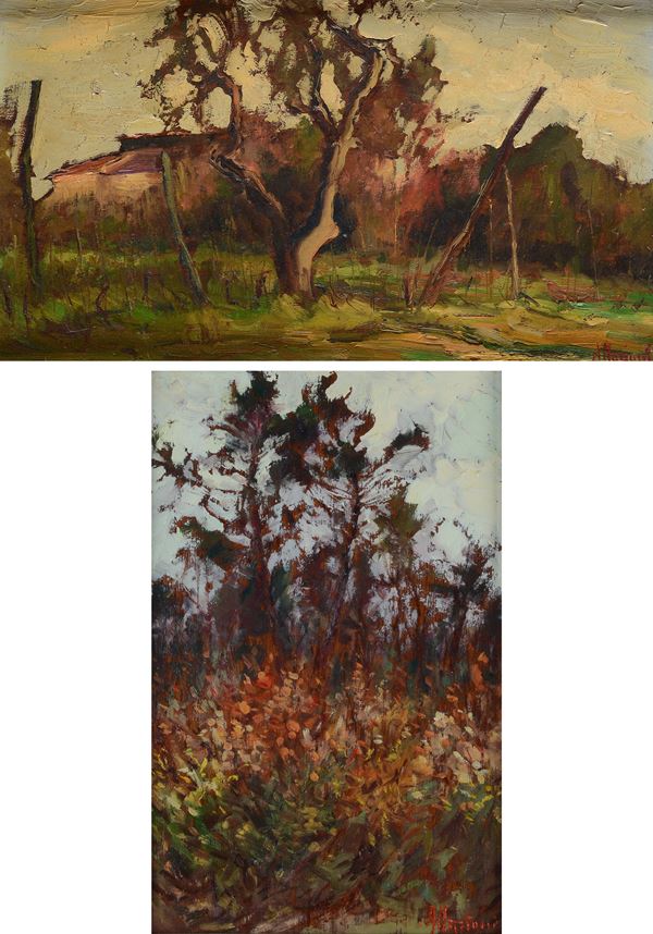Arturo Mariani - Coppia di paesaggi 