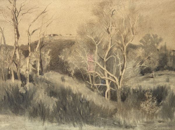Anonimo, XIX sec. - Paesaggio con alberi
