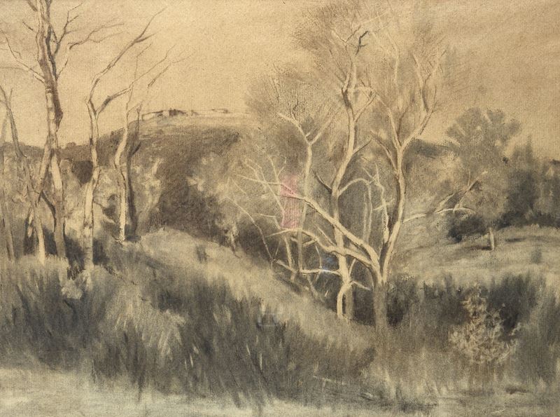 Anonimo, XIX Sec. - Anonimo XIX secolo, Paesaggio con alberi