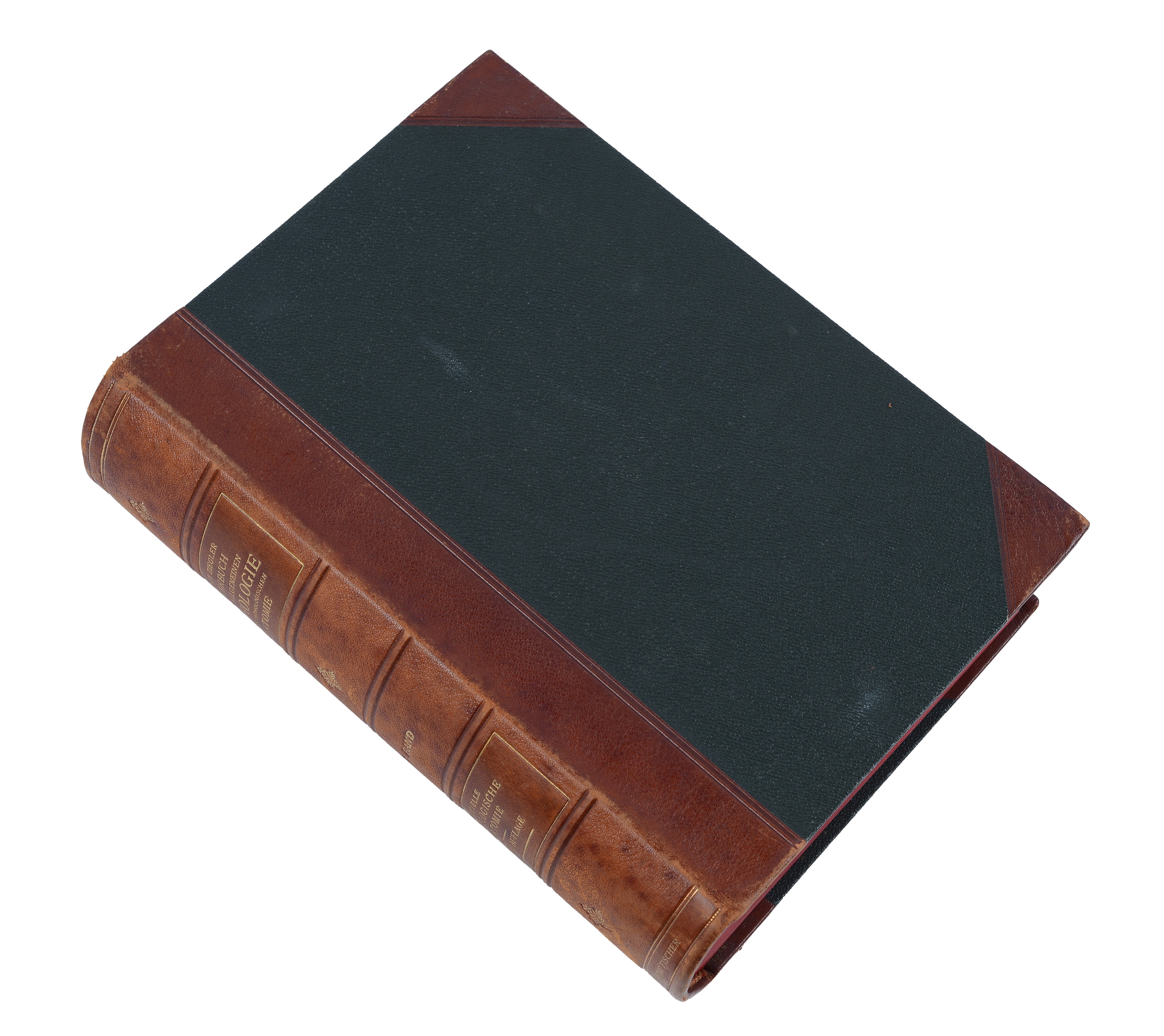 Lehrbuch Der Speziellen Pathologischen Anatomie von Dr. Ernst Ziegler