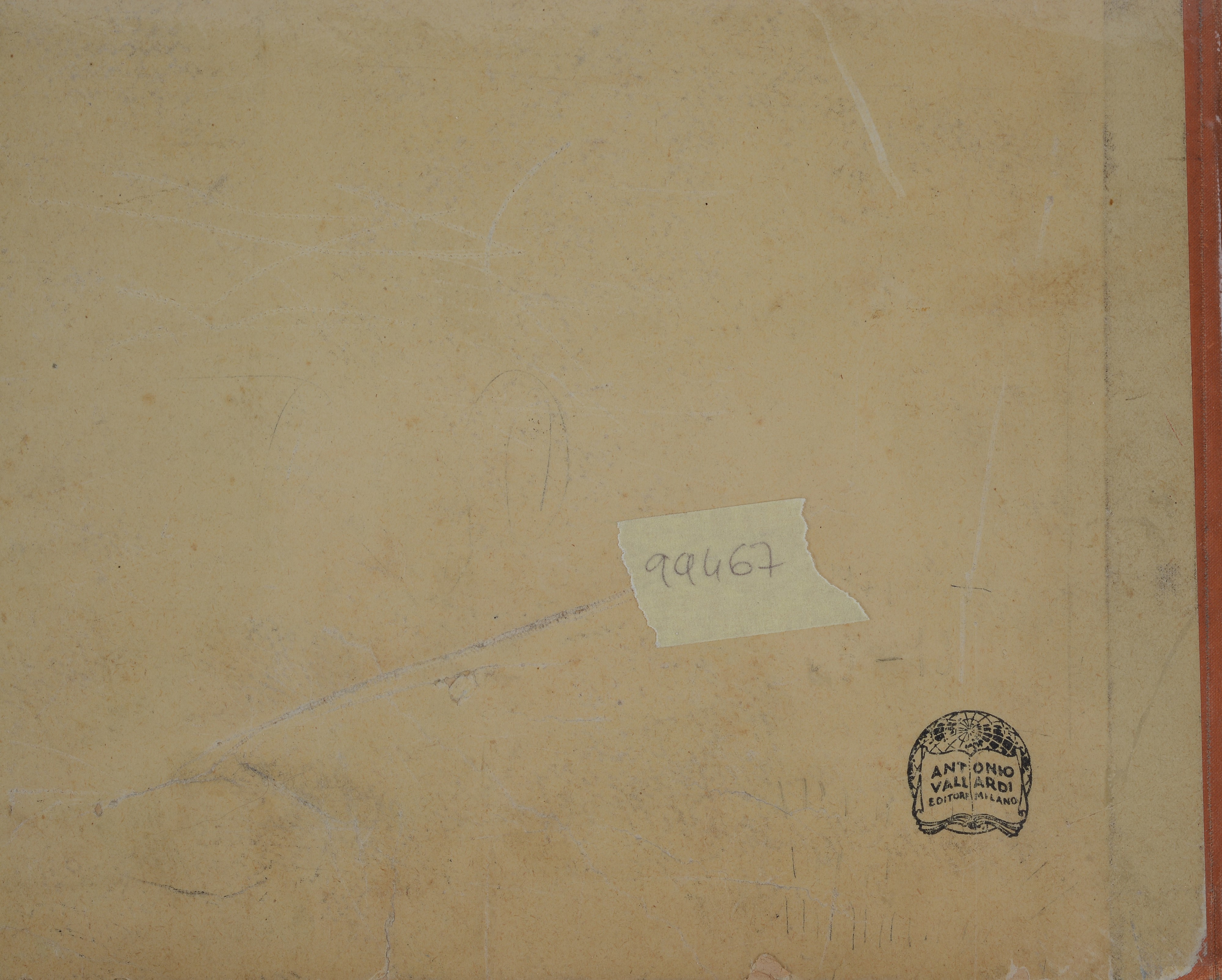 Gli animali in gita di piacere de Lo Zio Bello