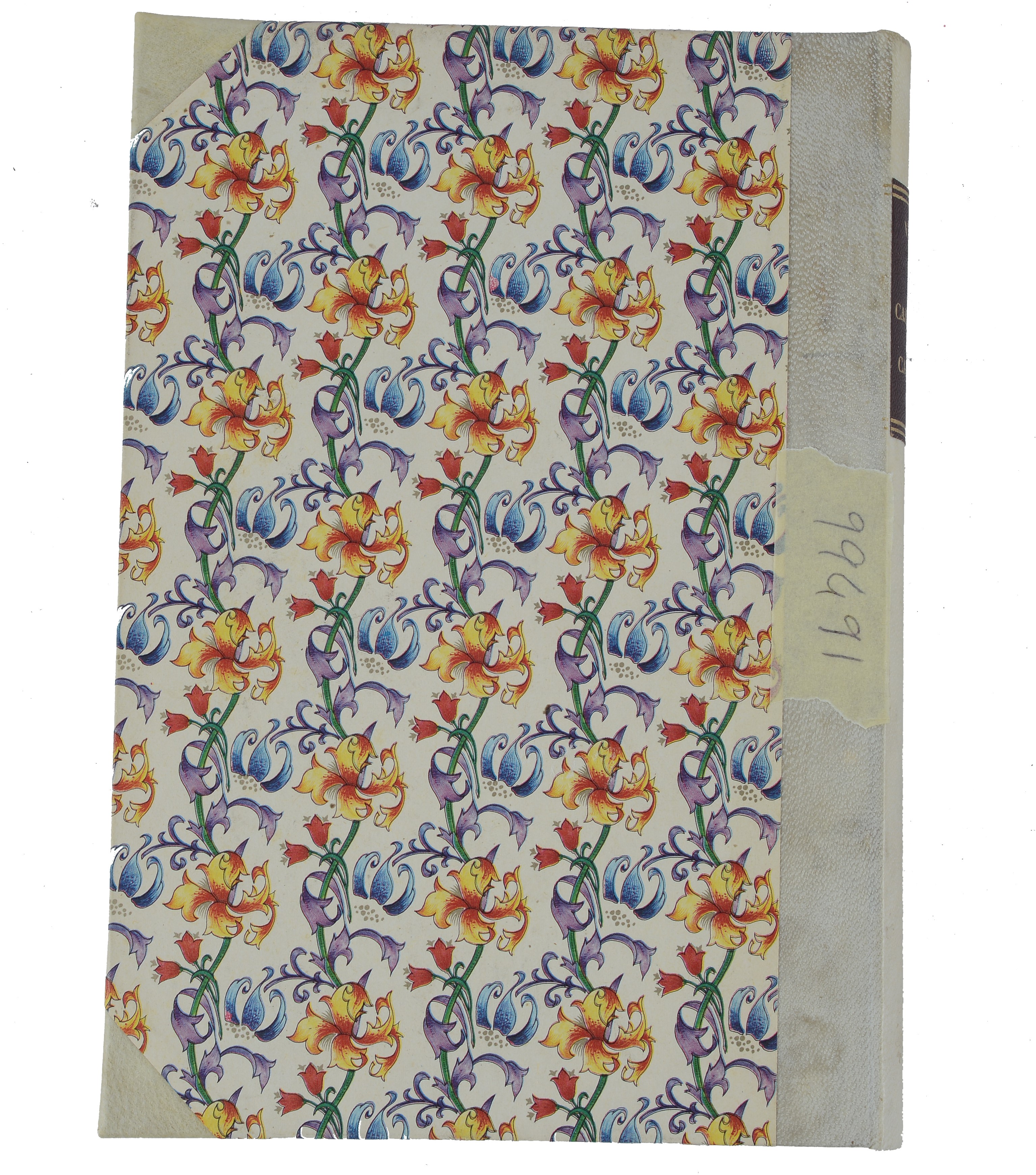 Il Castello dei Carpazi di Giulio Verne