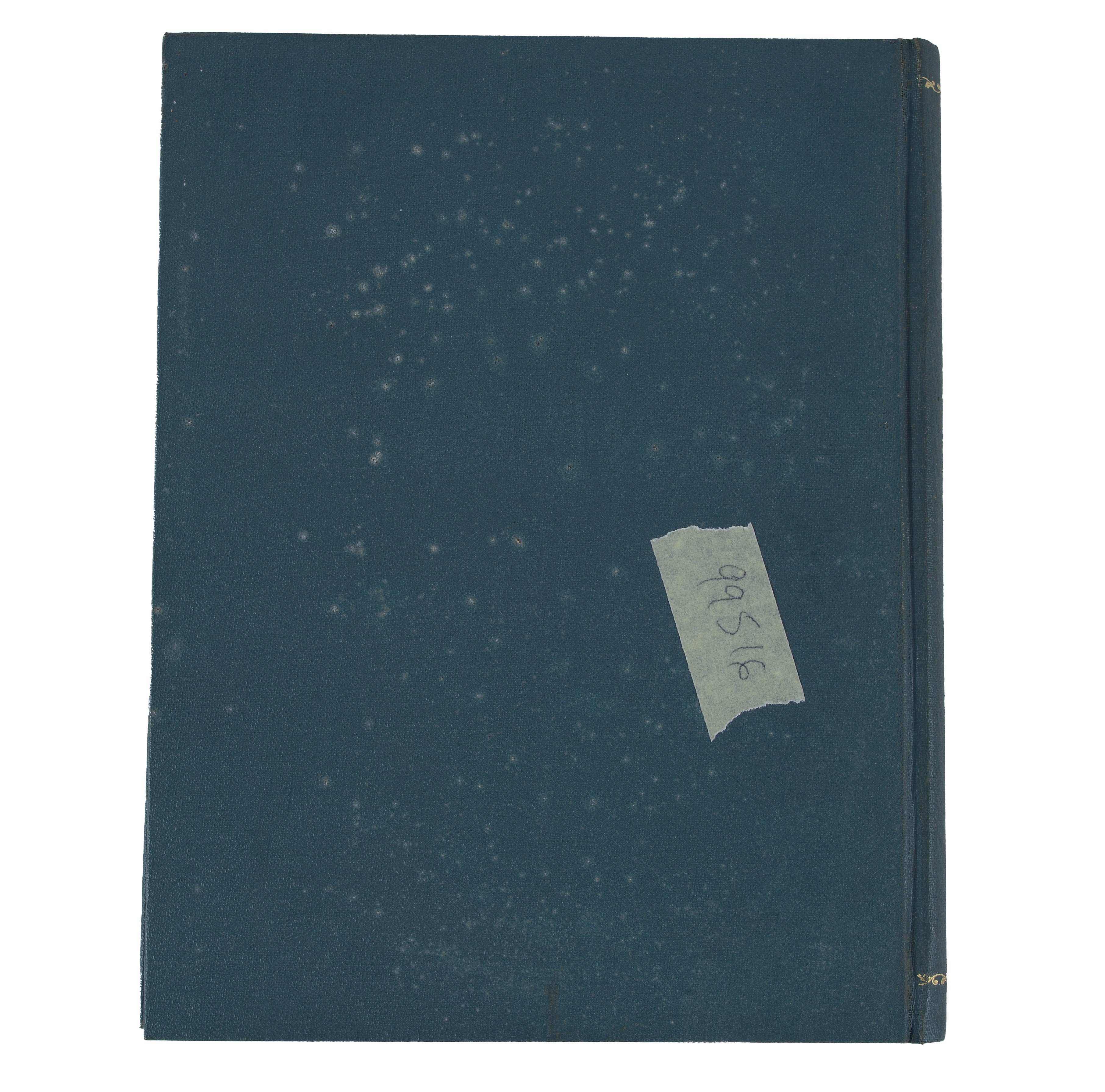 Il Pilota del Danubio di Giulio Verne